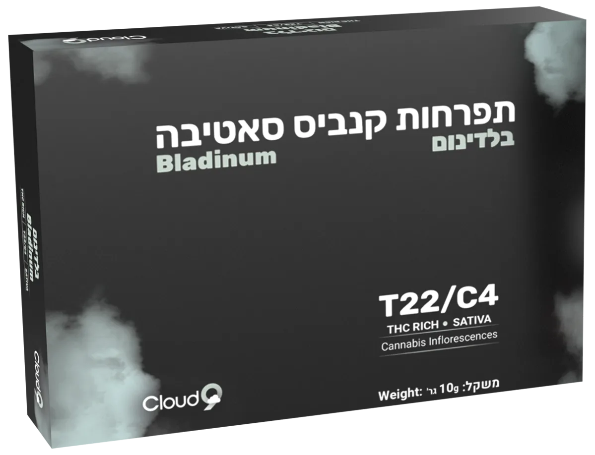 קופסת בלדינום עומדת