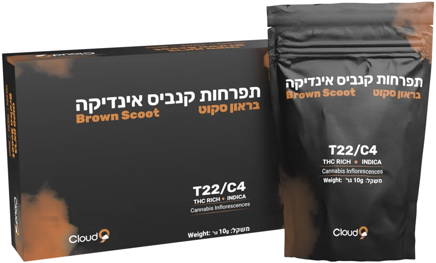 קופסה ושקית של בראון סקוט של Cloud-9
