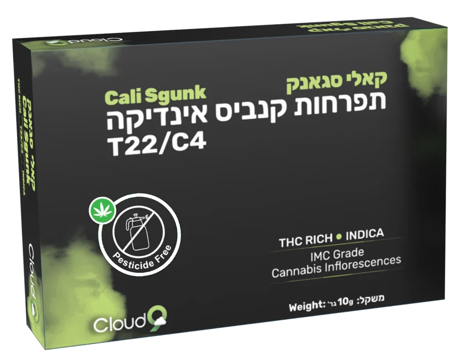 אריזת קאלי סגאנק של Cloud-9