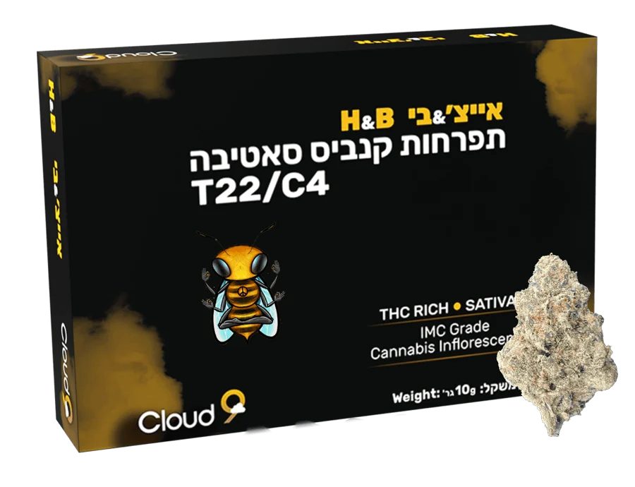 אריזת אייץ׳ & בי של Cloud-9