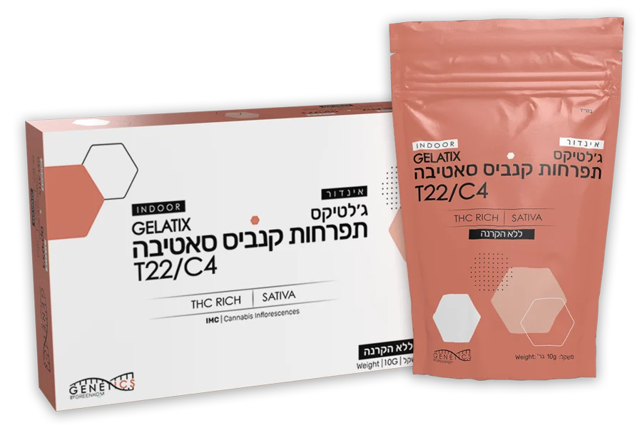 קופסה ושקית של אינדור ג׳לטיקס של Cloud-9 GENETICS