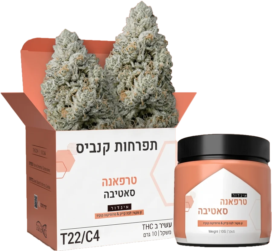 קופסה וצנצנת של אינדור טרפאנה של Cloud-9 GENETICS